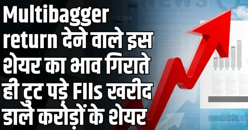 Multibagger return देने वाले इस शेयर का भाव गिराते ही टुट पड़े FIIs खरीद डाले करोड़ों के शेयर